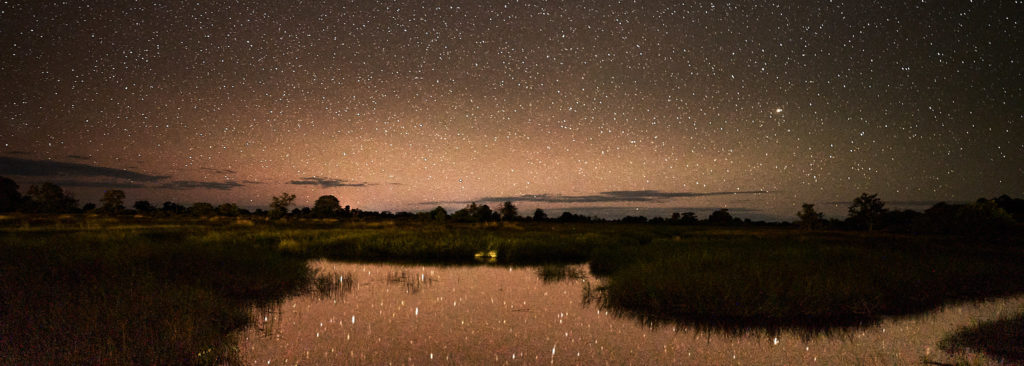 La sinfonía nocturna del Okavongo de viaje por Botswana | beco